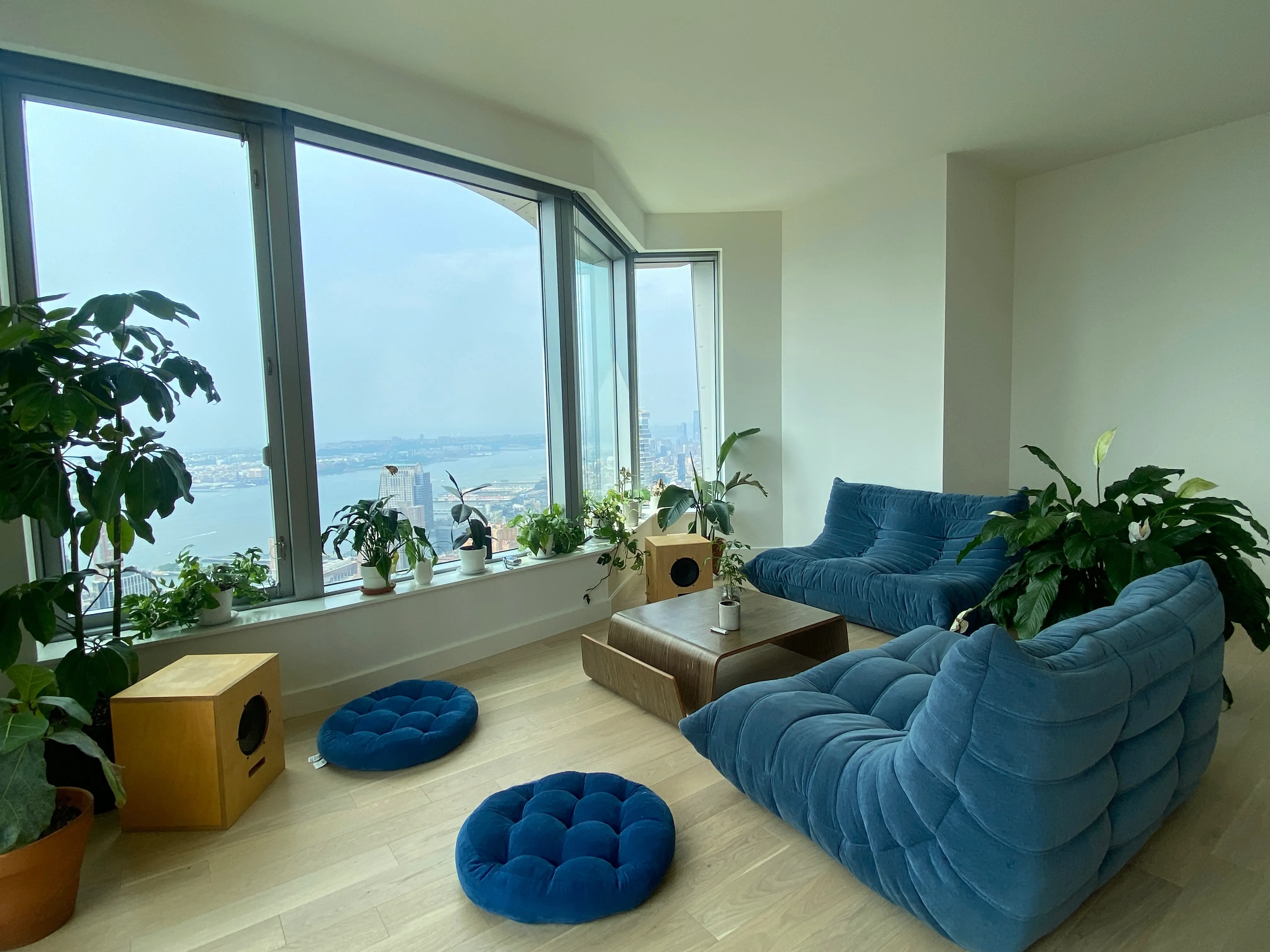 Apartment Couches and Coffee Table